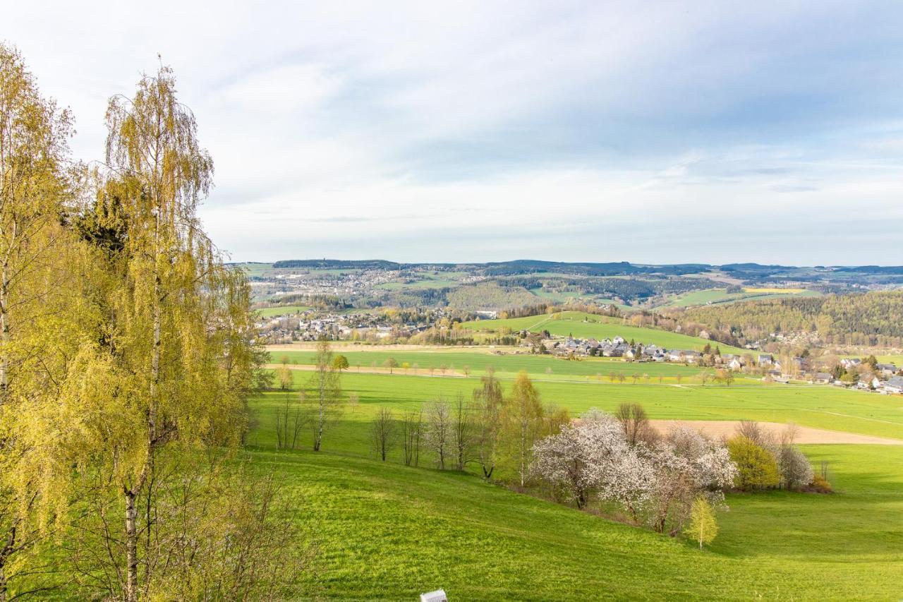 Apartment Bergwiese I Balkon I Aufzug I Stellplatz Schwarzenberg  Zewnętrze zdjęcie